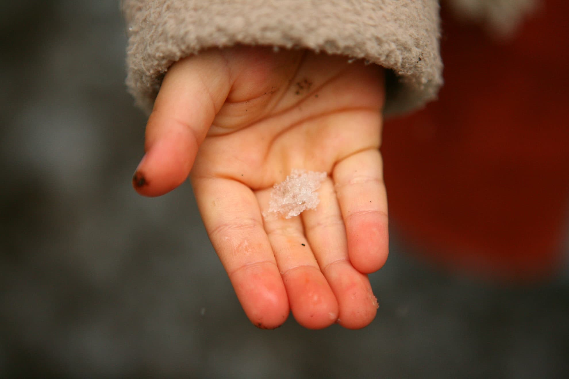 bind_photo_015.jpg